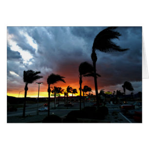 Palm Trees Swaying in the Breeze at Sunset