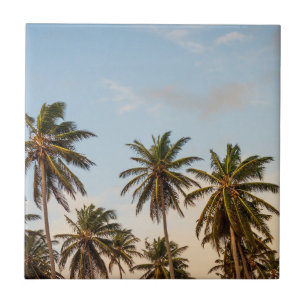 Palm Trees Tile