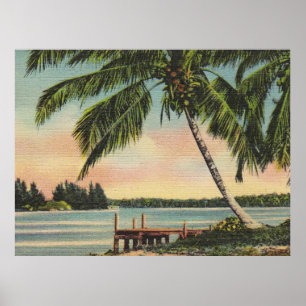 palm trees vintage poster