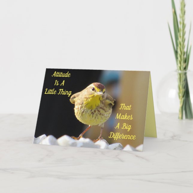 Palm Warbler Backyard Bird Personalised  Card (Front)