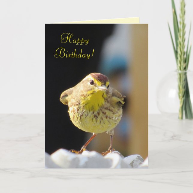 Palm Warbler - Backyard Bird Series Birthday Card (Front)