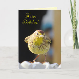 Palm Warbler - Backyard Bird Series Birthday Card