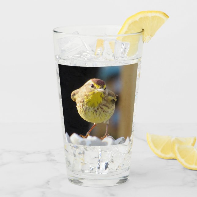 Palm Warbler - Backyard Bird Series -  Glass (Back Ice)
