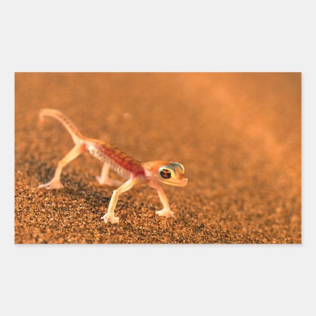 Palmatogecko On Sand Dune, Swakpomund, Erongo Rectangular Sticker (Front)