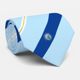 Palmdale (California) city flag Neck Tie