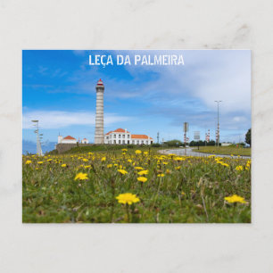 PALMEIRA MILK POSTCARD