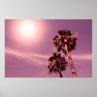 Palmen mit Sonne