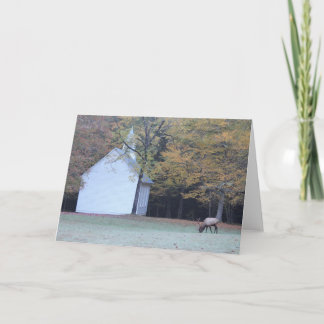 Palmer Chapel and Elk Card