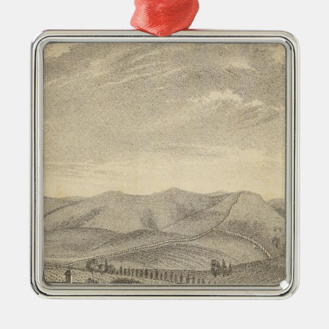 Palmer res, vineyard metal ornament (Front)