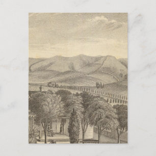 Palmer res, vineyard postcard