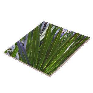 Palmetto Tropicale Ceramic Tile