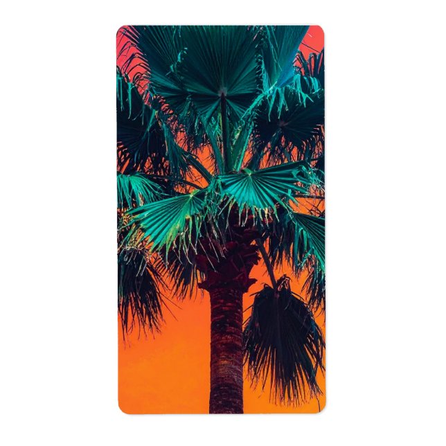 palms (Front)