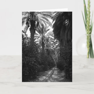 Palms and Orange Trees Near Desert, 1966 Card