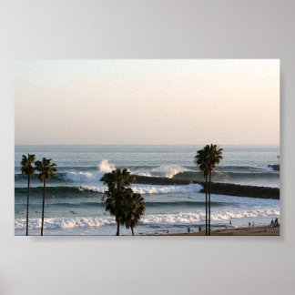 Palms and Waves Poster