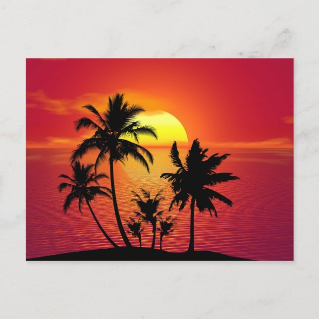 Palms at Sunset Announcement Postcard (Front)