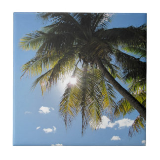 Palms Ceramic Tile