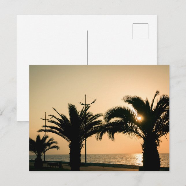 Palms in Batumi Georgia Postcard (Front/Back)