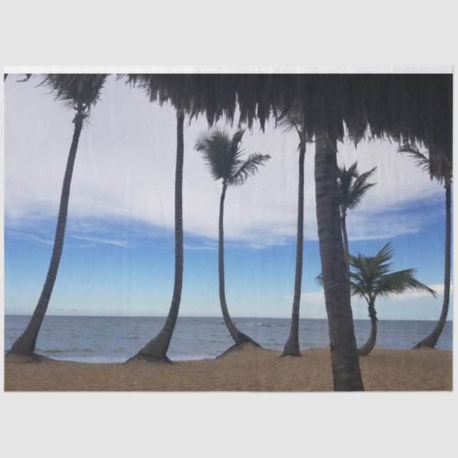 Palms on the Beach 1 Tissue Paper (Front)