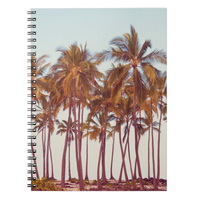 Palms plantation notebook (Front)