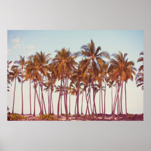 Palms plantation poster