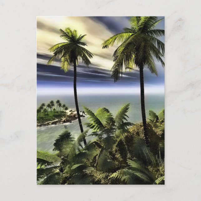 palms postcard (Front)