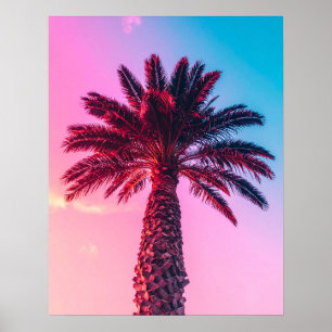 palms poster