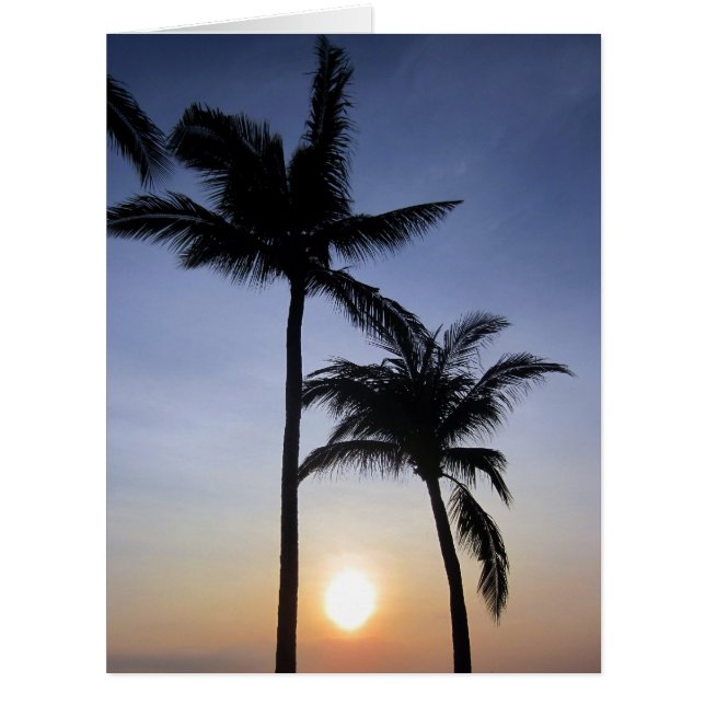 palms sunset big (Front)