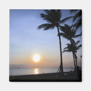 palms sunset magnet