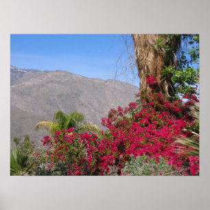 PalmSprings (4) Poster