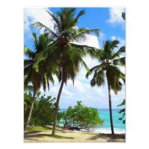 Palmtrees on Tropical Seascape Photo Enlargement