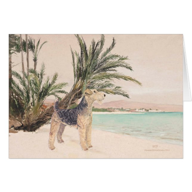 Palmy Beach (Front Horizontal)