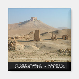 Palmyra, Lost Syria treasures (Fridge Magnet) Magnet