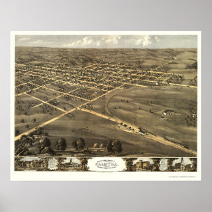 Palmyra, MO Panoramic Map - 1869 Poster