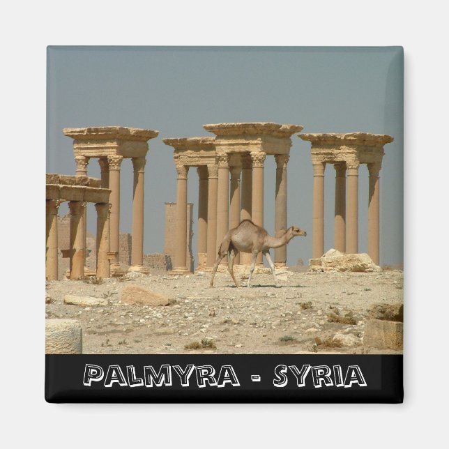 Palmyra, treasures of Syria No.3 (Fridge Magnet) Magnet (Front)