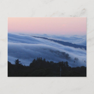 Palo Alto trail Postcard