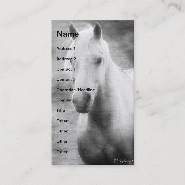 Palomino Black and White Business Card (Front)