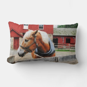 Palomino By Red Barn Lumbar Cushion