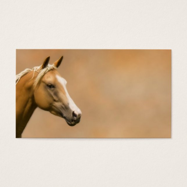 Palomino Elegance (Front)