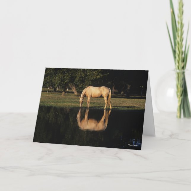 Palomino Grazing By Lake With Reflection Card (Front)