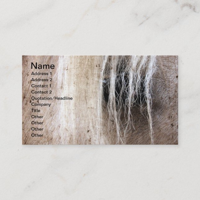 Palomino Grunge Business Card (Front)