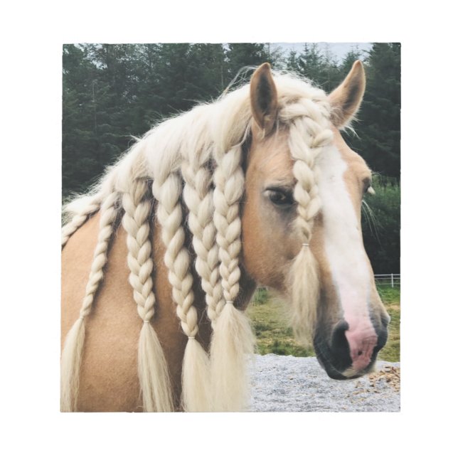 Palomino Gypsy Vanner Notepad (Front)