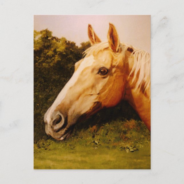 Palomino Horse Art Postcard (Front)