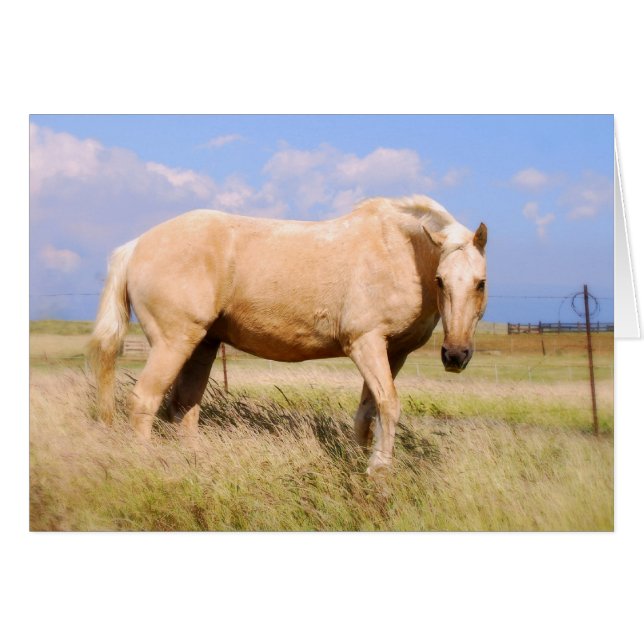 Palomino Horse Card (Front Horizontal)