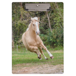 Palomino Horse Clipboard