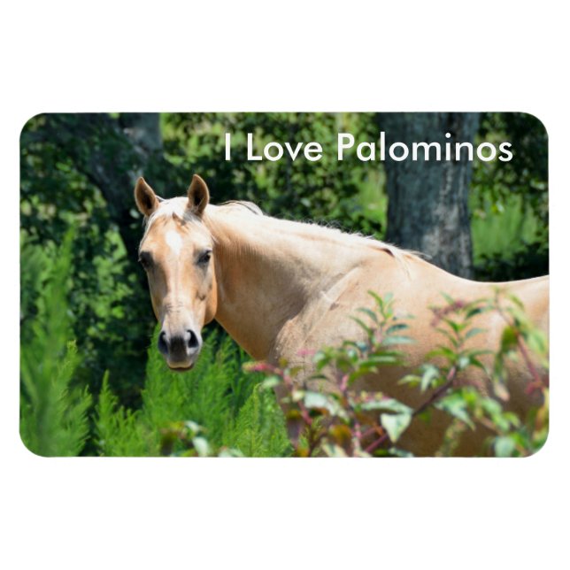 Palomino Horse Flexible Magnet (Horizontal)