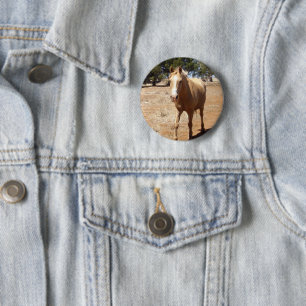 Palomino Horse Greeting, 6 Cm Round Badge
