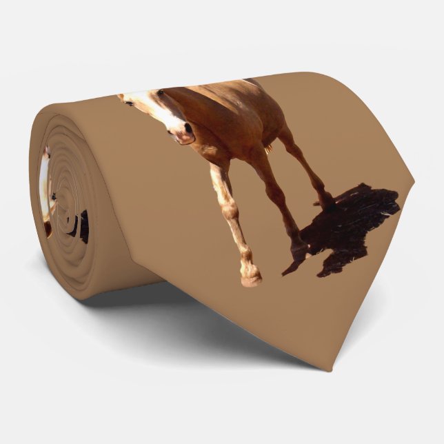 Palomino Horse Greeting, Tie (Rolled)