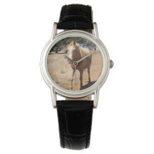 Palomino Horse Greeting,- Watch