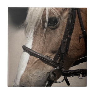 Palomino Horse in Bridle Ceramic Tile