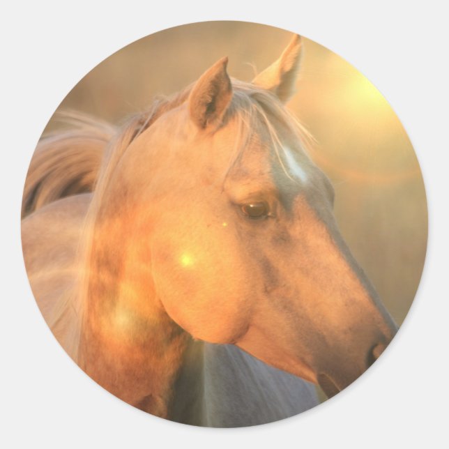 Palomino Horse in Light Sticker (Front)